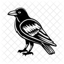 Crow Bird Raven Icon