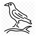 Crow  Icon