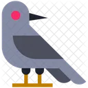 Halloween Bird Crow Icon