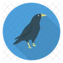 Crow Bird Halloween Icon