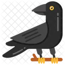 Crow Blackbird Bird Icon