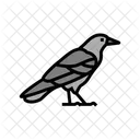 Crow Bird Animal Icon