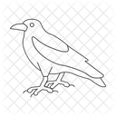 Crow  Icon