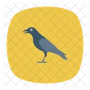 Crow Bird Fly Icon