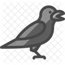 Crow Bird Animal Icon