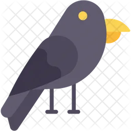 Crow  Icon