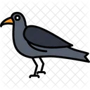 Crow Bird Corvus Icon