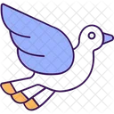 Crow Bird Squab Icon