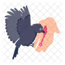 Crow Bite  Icon