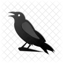 Crow  Icon