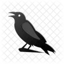 Crow Bird Animal Icon