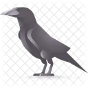 Crow Bird Halloween Icon