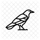 Crow  Icon