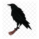 Crow  Icon
