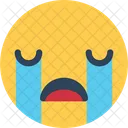 Cry Sad Face Angry Face Angry Smiley Icon