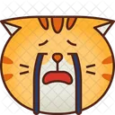 Cry Emoticon Cat Icon
