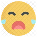 Cry Crying Sad Icon