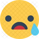 Cry  Icon