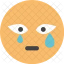 Crying Feel Baby Icon