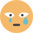 Crying  Icon