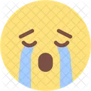 Crying Emotion Man Icon