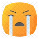 Crying  Icon