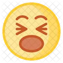 Crying  Icon