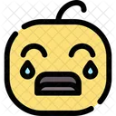 Crying Baby Expression Icon