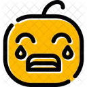 Crying Baby Expression Icon