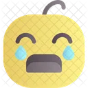 Crying Baby Expression Icon