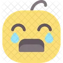 Crying Baby Expression Icon