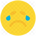 Crying  Icon