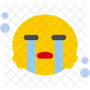 Crying  Icon