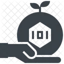 Crypto Investment  Icon