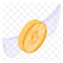 Btc Crypto Loss Bitcoin Wings Icon