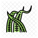 Cryptocoryne  Icon