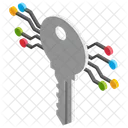 Cryptographic Key Digital Key Secret Key Icon