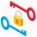 Cryptography Key Digital Signature Key Authentication Icon