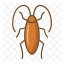 Cucaracha Bicho Insecto Icono