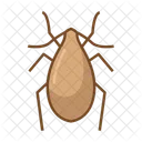 Cucaracha Bicho Insecto Icono