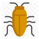 Cucaracha  Icon