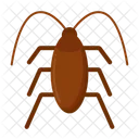 Cucaracha  Icon