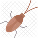 Cucaracha Control Exterminador Icono