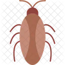 Cucaracha Control Exterminador Icono