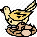 Cuco  Ícone