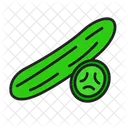 Cucumber Salad Vegetarian Icon