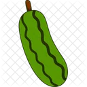 Cucumber Vegetable Fruit Icon