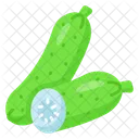 Cucumber Nutrition Organic Icon