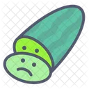 Cucumber Cucumber Slice Slice Icon