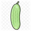 Cucumber Vegetable Salad Icon